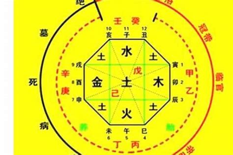 女命八字|生辰八字算命、五行喜用神查询（免费测算）